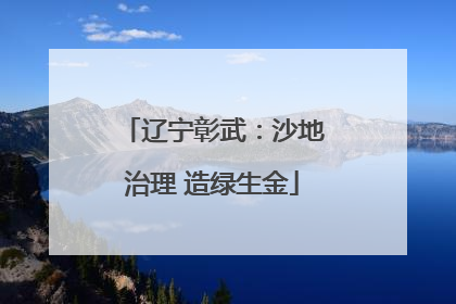 辽宁彰武：沙地治理 造绿生金
