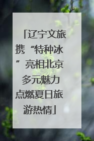 辽宁文旅携“特种冰”亮相北京 多元魅力点燃夏日旅游热情