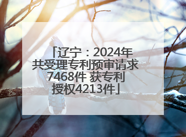 辽宁：2024年共受理专利预审请求7468件 获专利授权4213件