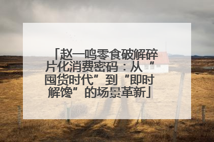 赵一鸣零食破解碎片化消费密码：从“囤货时代”到“即时解馋”的场景革新