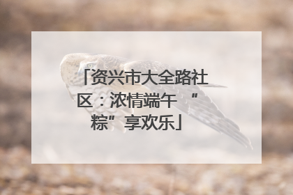 资兴市大全路社区：浓情端午 “粽”享欢乐