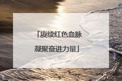 赓续红色血脉 凝聚奋进力量