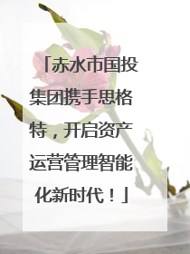 赤水市国投集团携手思格特，开启资产运营管理智能化新时代！
