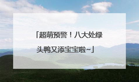 超萌预警！八大处绿头鸭又添宝宝啦~
