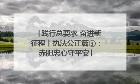 践行总要求 奋进新征程丨执法公正篇③：赤胆忠心守平安