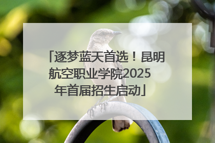 逐梦蓝天首选！昆明航空职业学院2025年首届招生启动