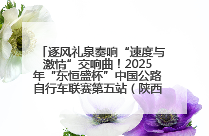 逐风礼泉奏响“速度与激情”交响曲！2025年“东恒盛杯”中国公路自行车联赛第五站（陕西·礼泉站）正式开赛