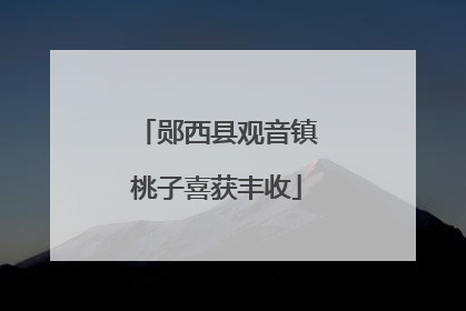 郧西县观音镇桃子喜获丰收