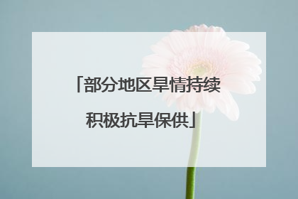部分地区旱情持续 积极抗旱保供