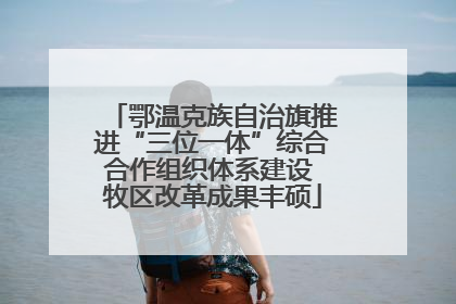鄂温克族自治旗推进“三位一体”综合合作组织体系建设 牧区改革成果丰硕