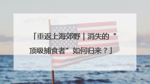 重返上海郊野｜消失的“顶级捕食者”如何归来？