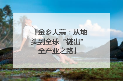 金乡大蒜：从地头到全球“链出”全产业之路