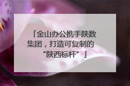 金山办公携手陕数集团，打造可复制的“陕西标杆”
