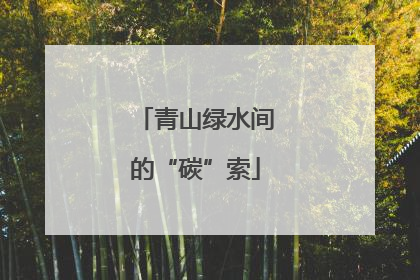 青山绿水间的“碳”索