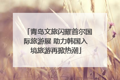 青岛文旅闪耀首尔国际旅游展 助力韩国入境旅游再掀热潮