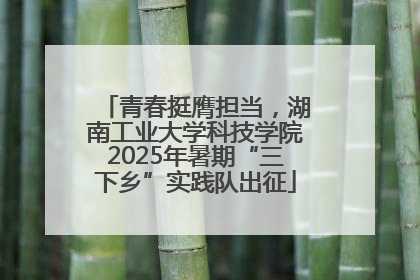 青春挺膺担当，湖南工业大学科技学院2025年暑期“三下乡”实践队出征