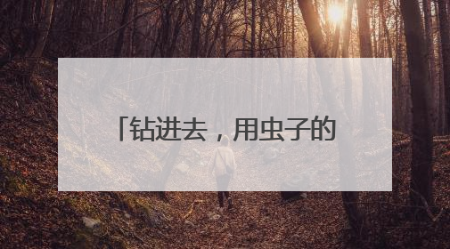 钻进去，用虫子的视角看世界！朱赢椿“虫子电影院”落户南京幼儿园