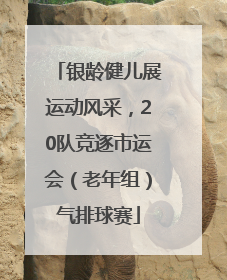 银龄健儿展运动风采，20队竞逐市运会（老年组）气排球赛
