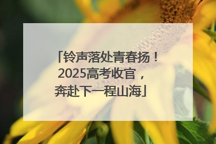 铃声落处青春扬！2025高考收官，奔赴下一程山海