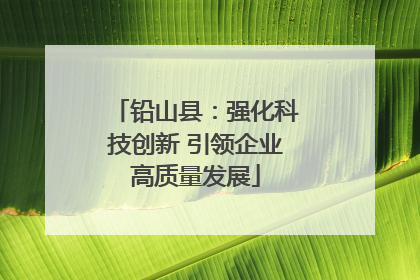 铅山县：强化科技创新 引领企业高质量发展