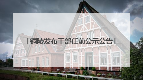 铜陵发布干部任前公示公告