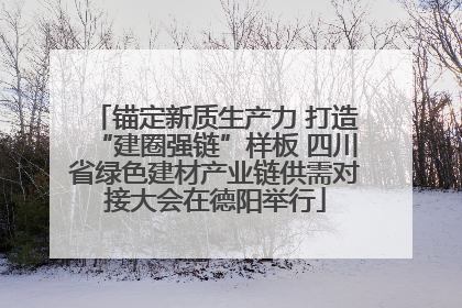 锚定新质生产力 打造“建圈强链”样板 四川省绿色建材产业链供需对接大会在德阳举行