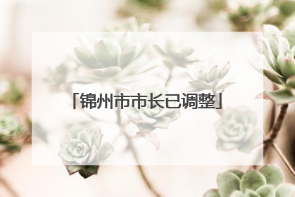锦州市市长已调整