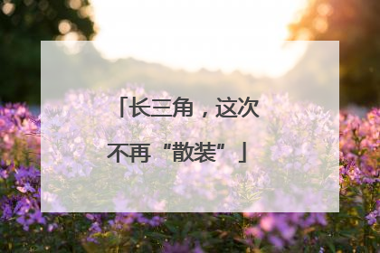 长三角，这次不再“散装”
