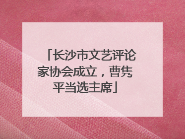 长沙市文艺评论家协会成立，曹隽平当选主席