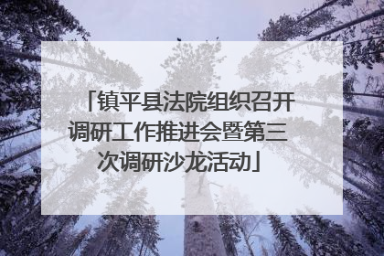 镇平县法院组织召开调研工作推进会暨第三次调研沙龙活动