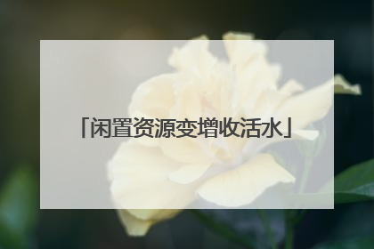 闲置资源变增收活水