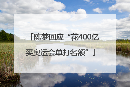 陈梦回应“花400亿买奥运会单打名额”