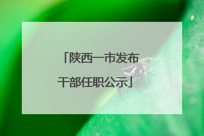 陕西一市发布干部任职公示
