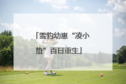 雪豹幼崽“凌小蛰”百日重生