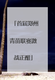 首届郑州青苗联赛激战正酣