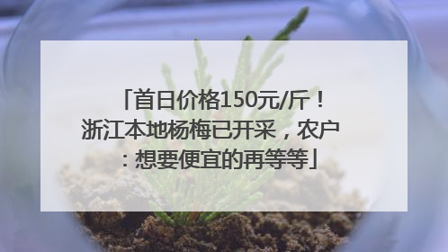 首日价格150元/斤！浙江本地杨梅已开采，农户：想要便宜的再等等