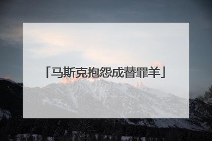 马斯克抱怨成替罪羊