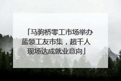 马驹桥零工市场举办蓝领工友市集，超千人现场达成就业意向