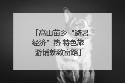高山苗乡“避暑经济”热 特色旅游铺就致富路