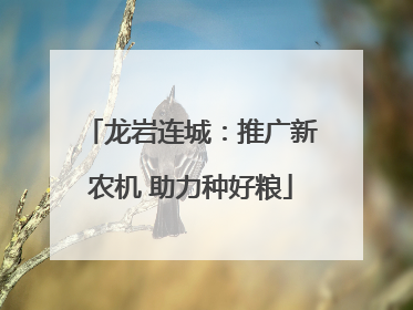 龙岩连城：推广新农机 助力种好粮