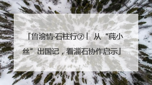 鲁渝情·石柱行② ︳从“莼小丝”出国记，看淄石协作启示