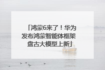 鸿蒙6来了！华为发布鸿蒙智能体框架 盘古大模型上新