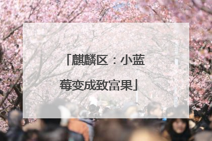 麒麟区：小蓝莓变成致富果