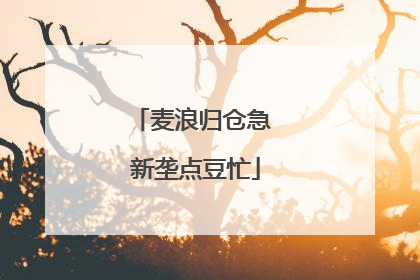 麦浪归仓急 新垄点豆忙