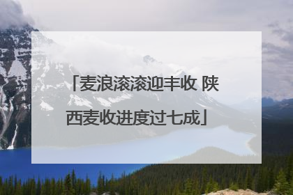 麦浪滚滚迎丰收 陕西麦收进度过七成