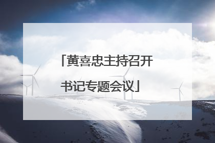 黄喜忠主持召开书记专题会议