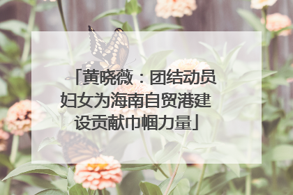 黄晓薇：团结动员妇女为海南自贸港建设贡献巾帼力量