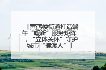 黄鹤楼街道打造端午“暖新”服务矩阵，“立体关怀”守护城市“摆渡人”