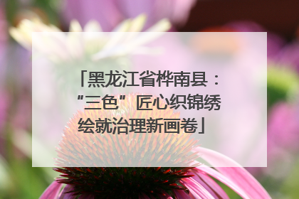 黑龙江省桦南县：“三色”匠心织锦绣 绘就治理新画卷