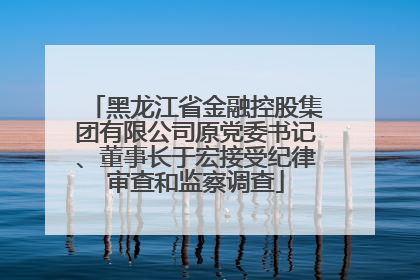 黑龙江省金融控股集团有限公司原党委书记、董事长于宏接受纪律审查和监察调查